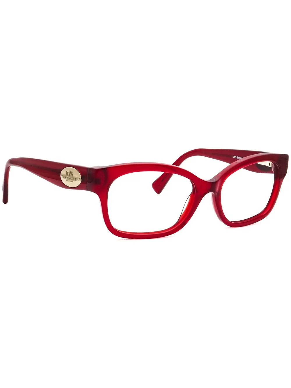 Coach HC 6071 5029 Eyewear